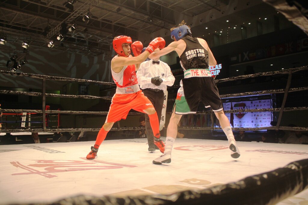 400 atletas na 6ª edição do Odivelas Box Cup