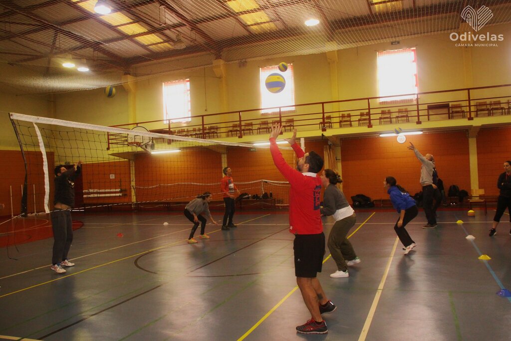 Ação de formação de Voleibol